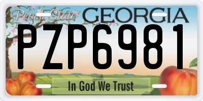 GA license plate PZP6981