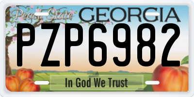 GA license plate PZP6982