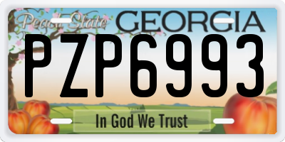GA license plate PZP6993