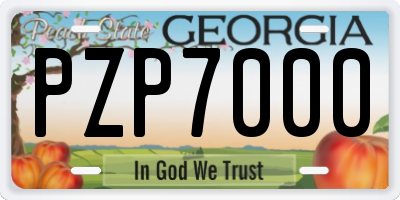 GA license plate PZP7000