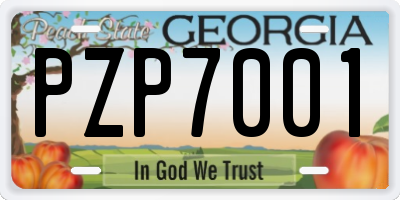 GA license plate PZP7001