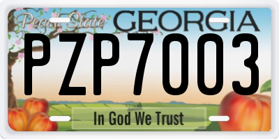 GA license plate PZP7003