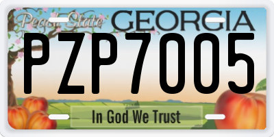 GA license plate PZP7005