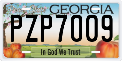 GA license plate PZP7009