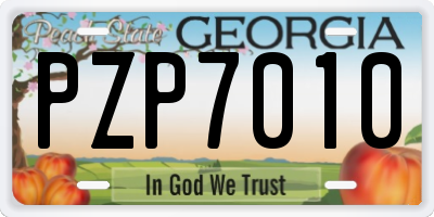 GA license plate PZP7010