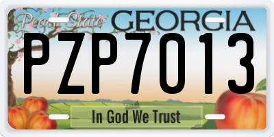 GA license plate PZP7013