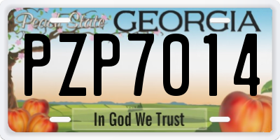 GA license plate PZP7014