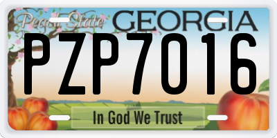 GA license plate PZP7016