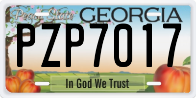 GA license plate PZP7017