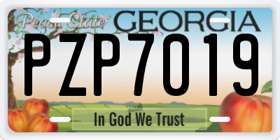 GA license plate PZP7019
