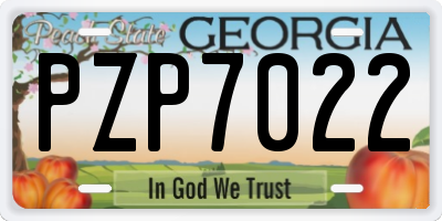 GA license plate PZP7022