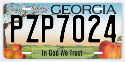 GA license plate PZP7024