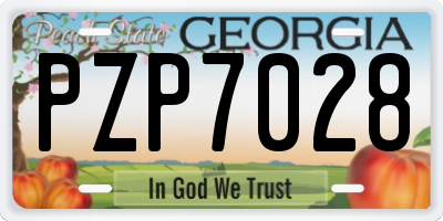 GA license plate PZP7028