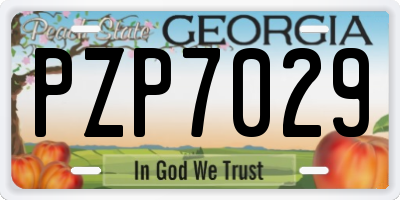 GA license plate PZP7029