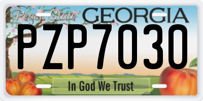 GA license plate PZP7030