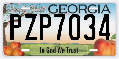 GA license plate PZP7034