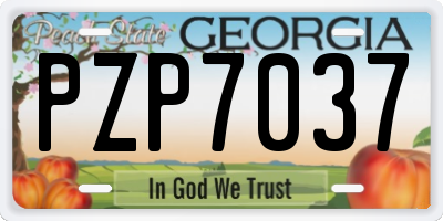GA license plate PZP7037