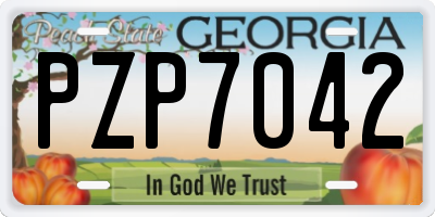 GA license plate PZP7042