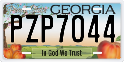 GA license plate PZP7044