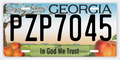 GA license plate PZP7045