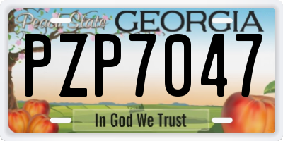 GA license plate PZP7047
