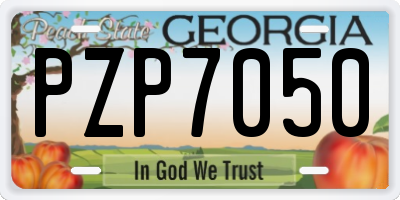 GA license plate PZP7050