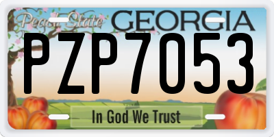 GA license plate PZP7053