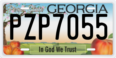 GA license plate PZP7055