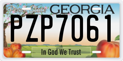 GA license plate PZP7061