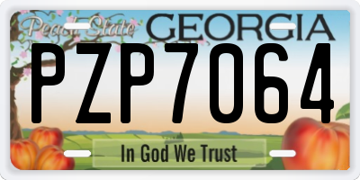 GA license plate PZP7064