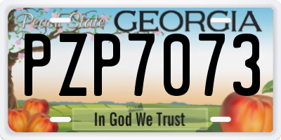 GA license plate PZP7073