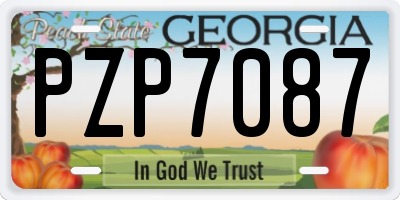 GA license plate PZP7087