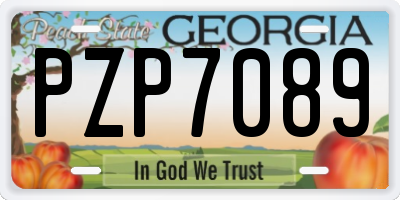 GA license plate PZP7089