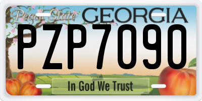 GA license plate PZP7090