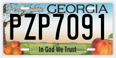 GA license plate PZP7091