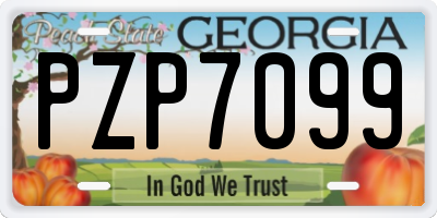 GA license plate PZP7099