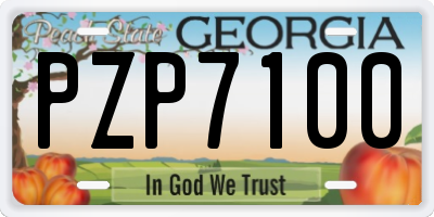 GA license plate PZP7100