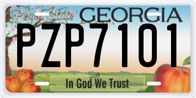 GA license plate PZP7101