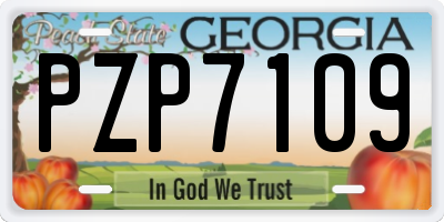 GA license plate PZP7109