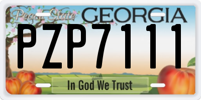 GA license plate PZP7111