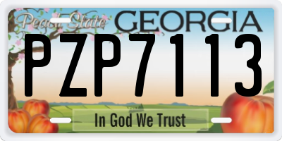 GA license plate PZP7113