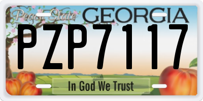 GA license plate PZP7117