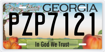 GA license plate PZP7121