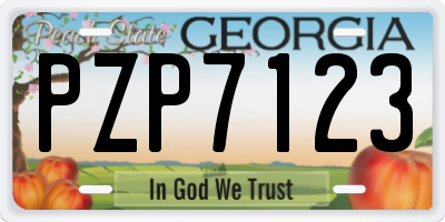GA license plate PZP7123