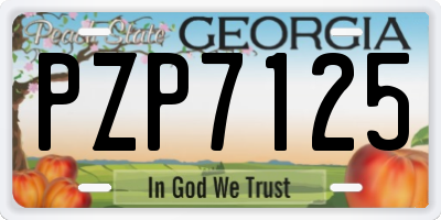 GA license plate PZP7125