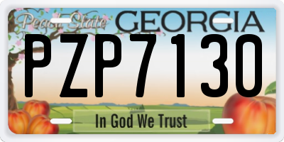 GA license plate PZP7130