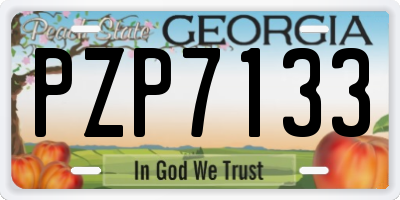 GA license plate PZP7133