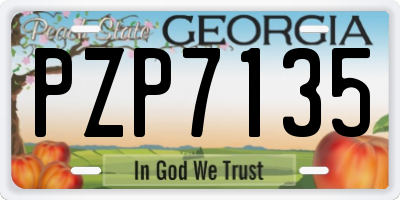 GA license plate PZP7135