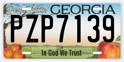 GA license plate PZP7139
