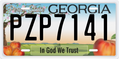 GA license plate PZP7141